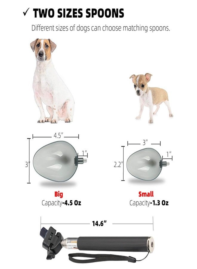 iNenya Dog Cat Urine Collector- Telescopic Handled Dog Pee Sample Catcher for Veterinary Supplies, Urine Stick for Small Large Female Dogs Extends to 42" - Image 5